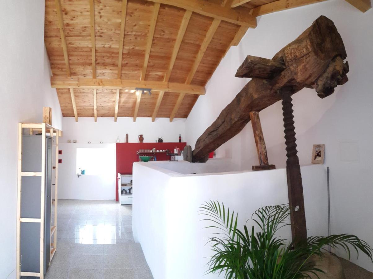 Quinta Quatro Ventos Bed & Breakfast Sertã Exterior photo