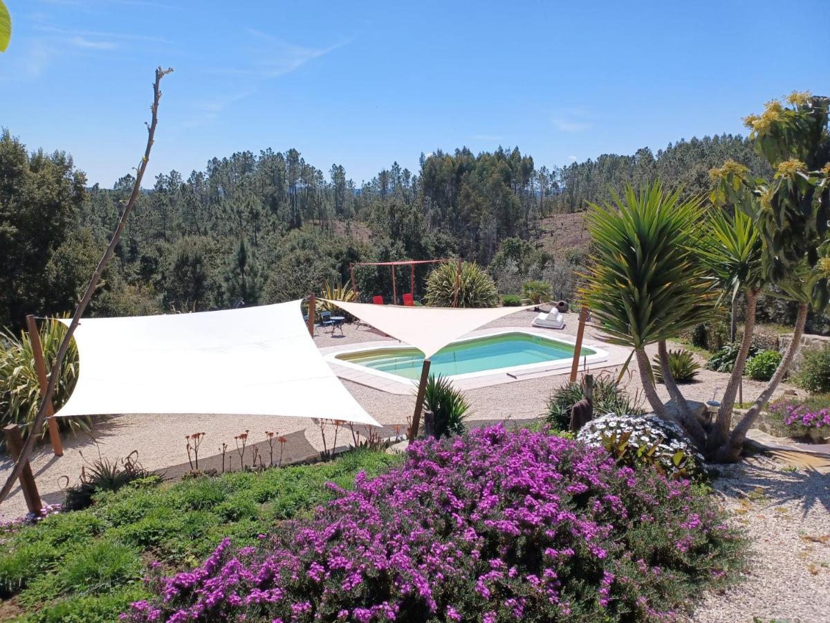 Quinta Quatro Ventos Bed & Breakfast Sertã Exterior photo
