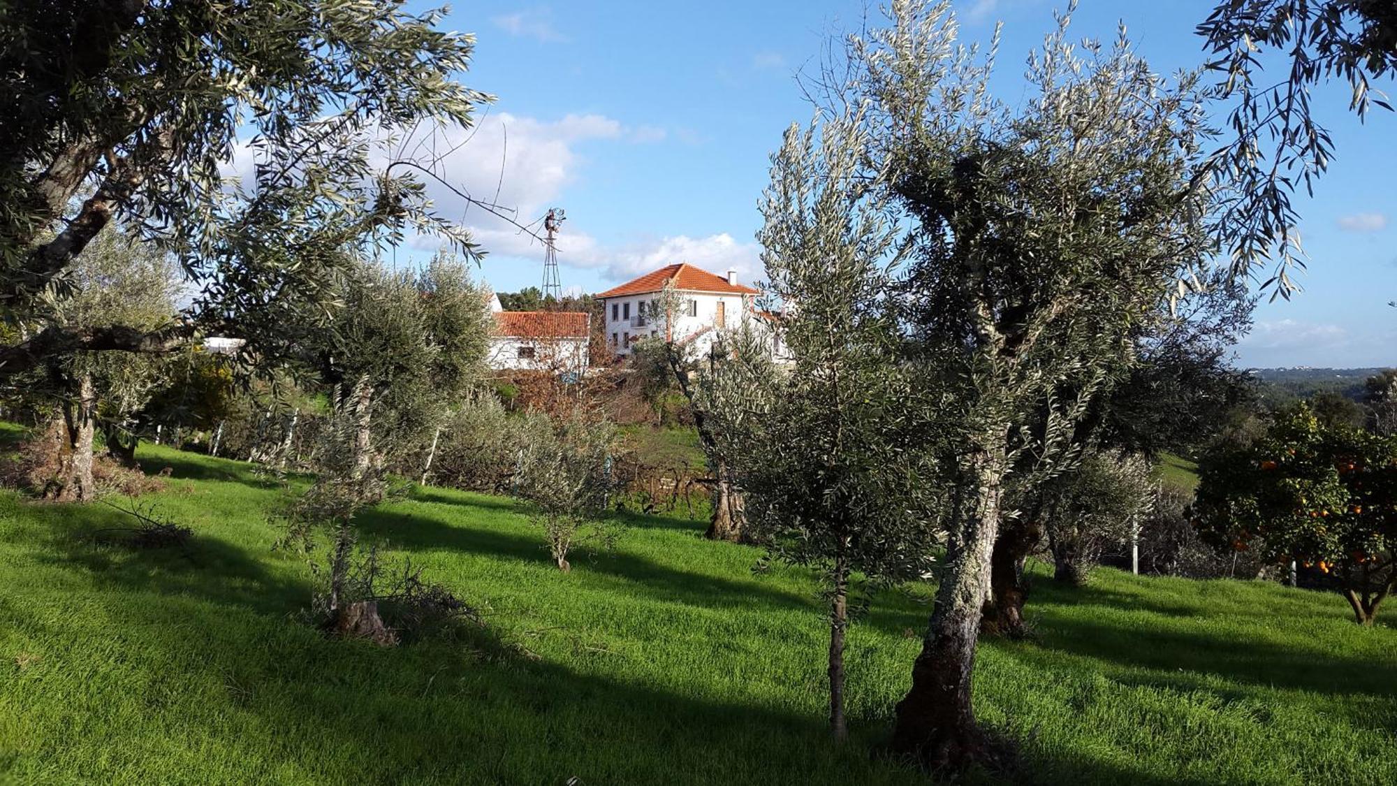 Quinta Quatro Ventos Bed & Breakfast Sertã Exterior photo